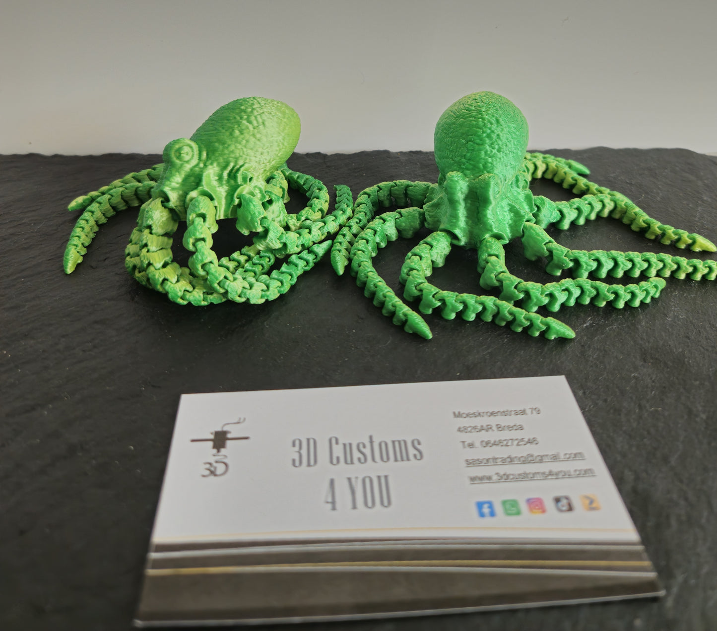 Octopus groot