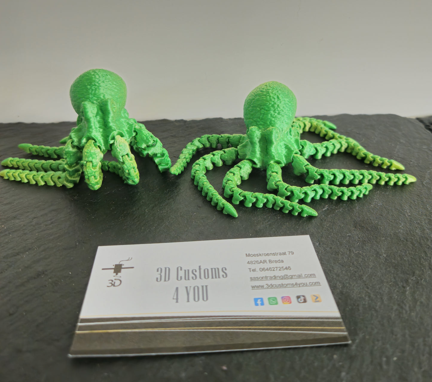Octopus groot