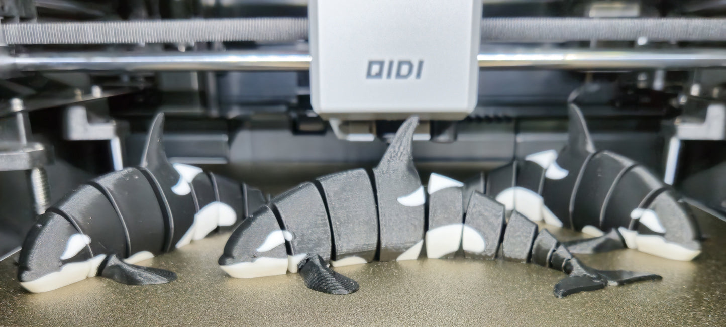 Orca