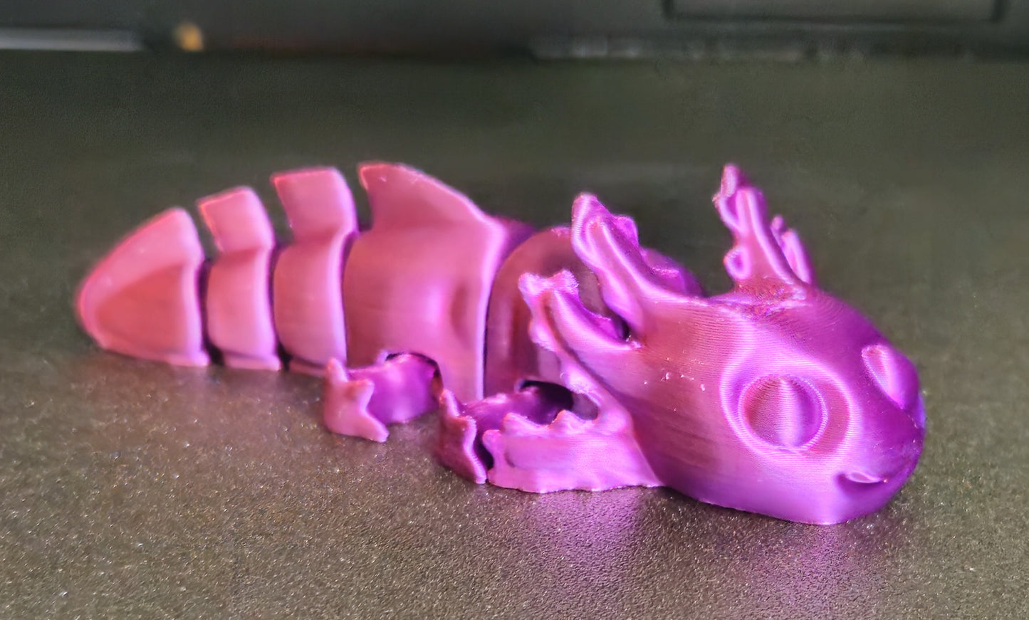 Axolotl
