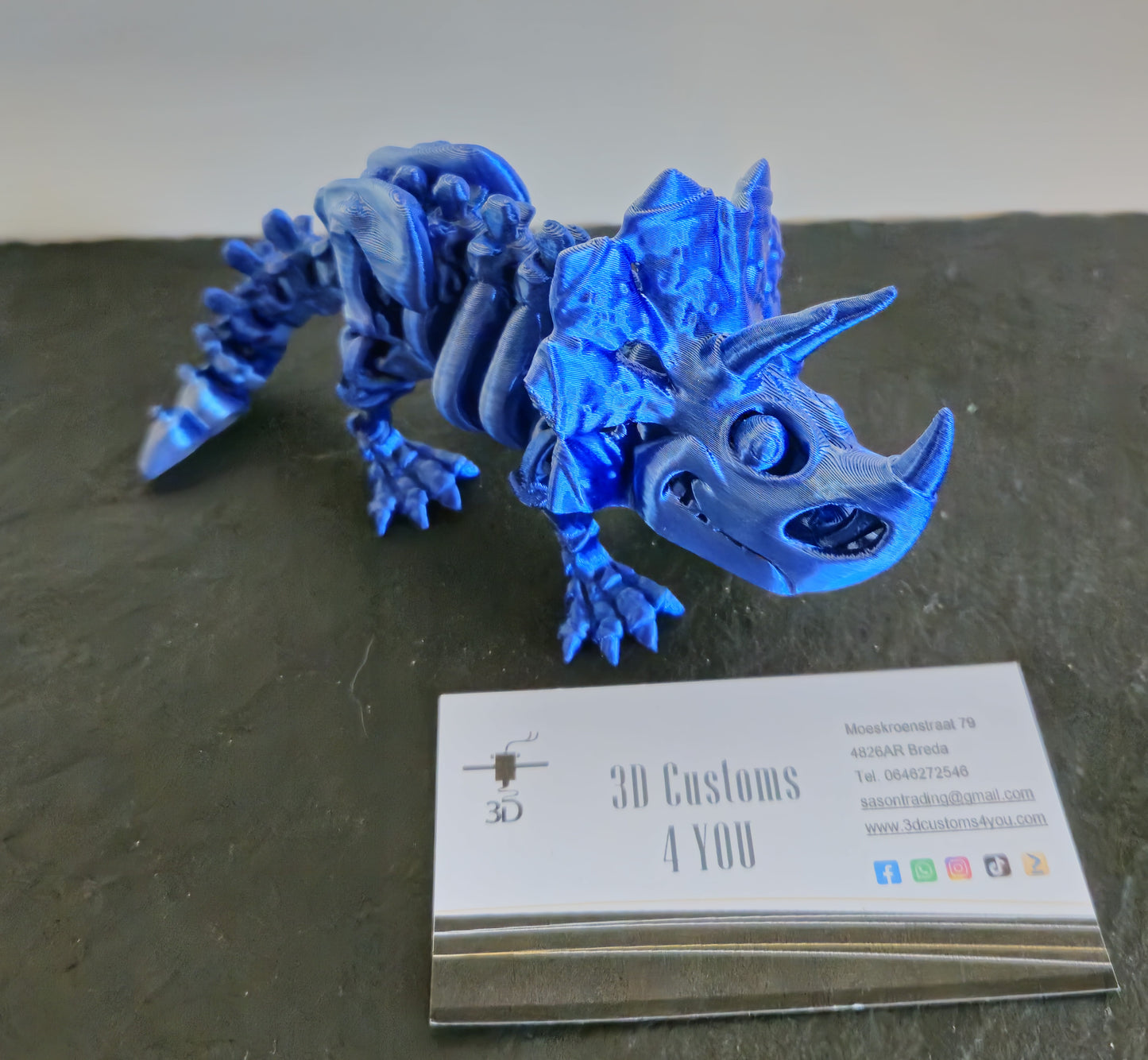 Triceratops