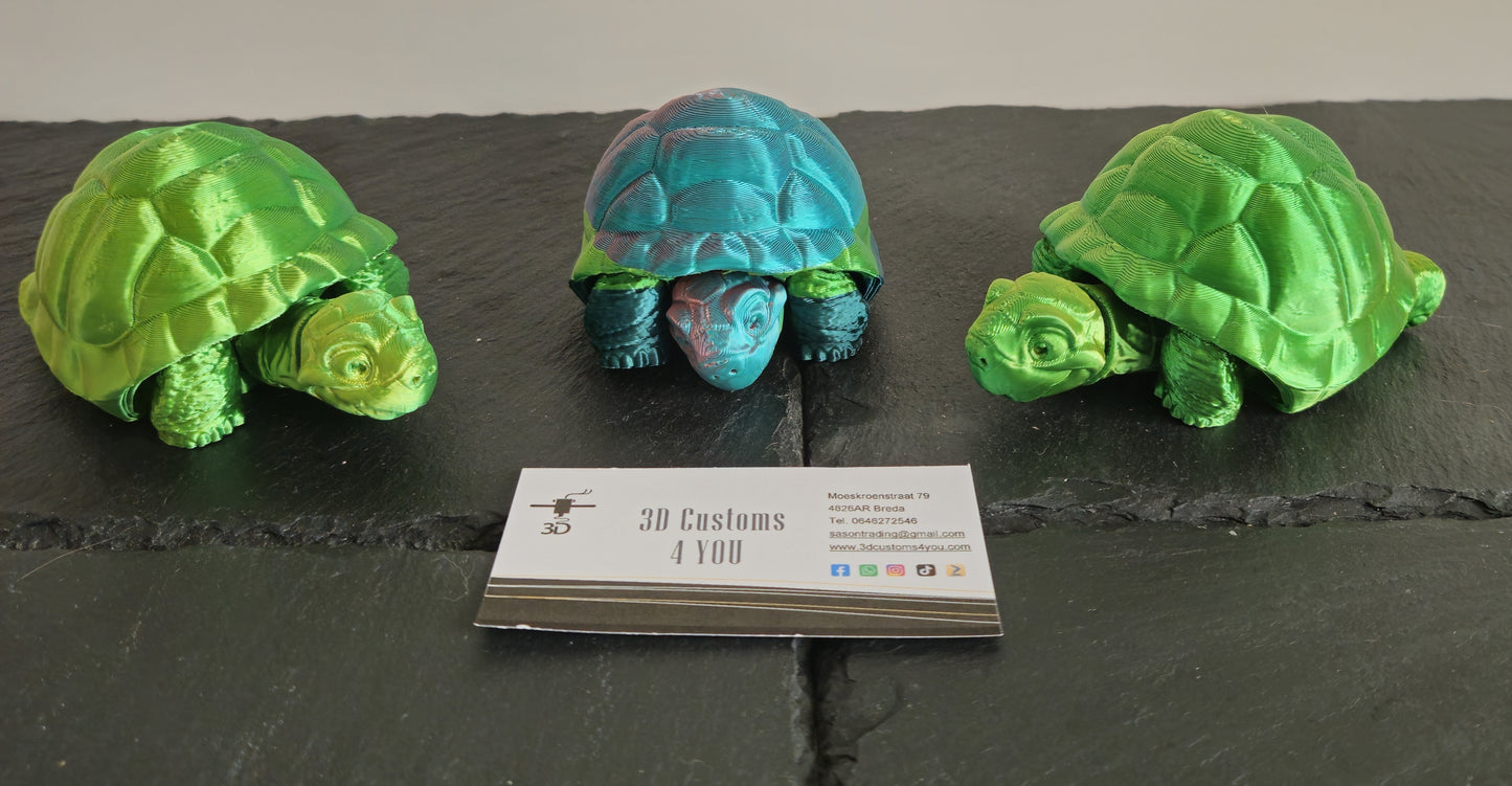 Schildpad groot
