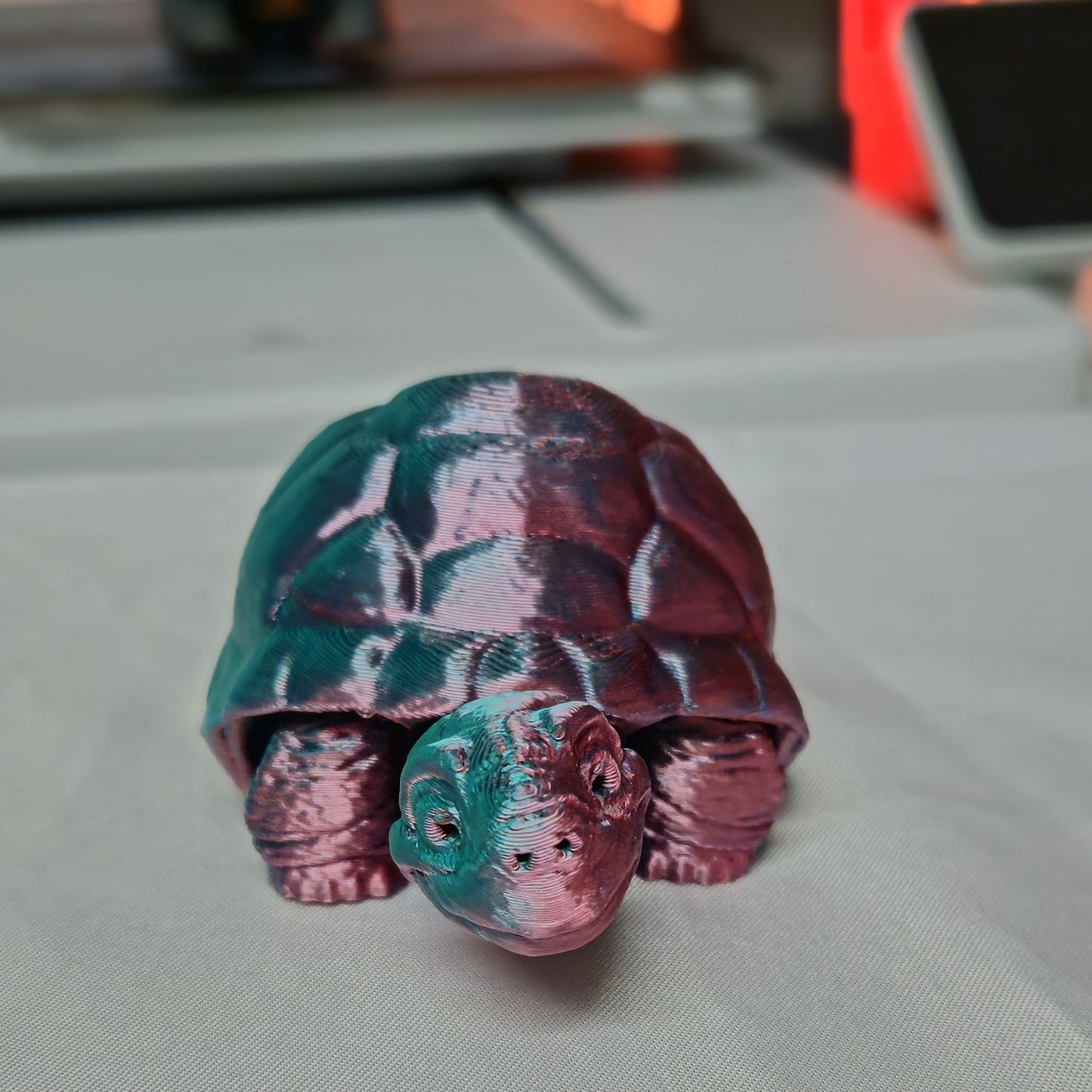 Schildpad groot