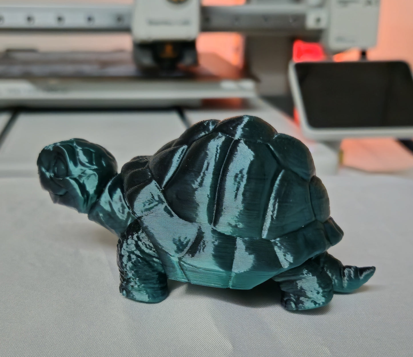 Schildpad groot