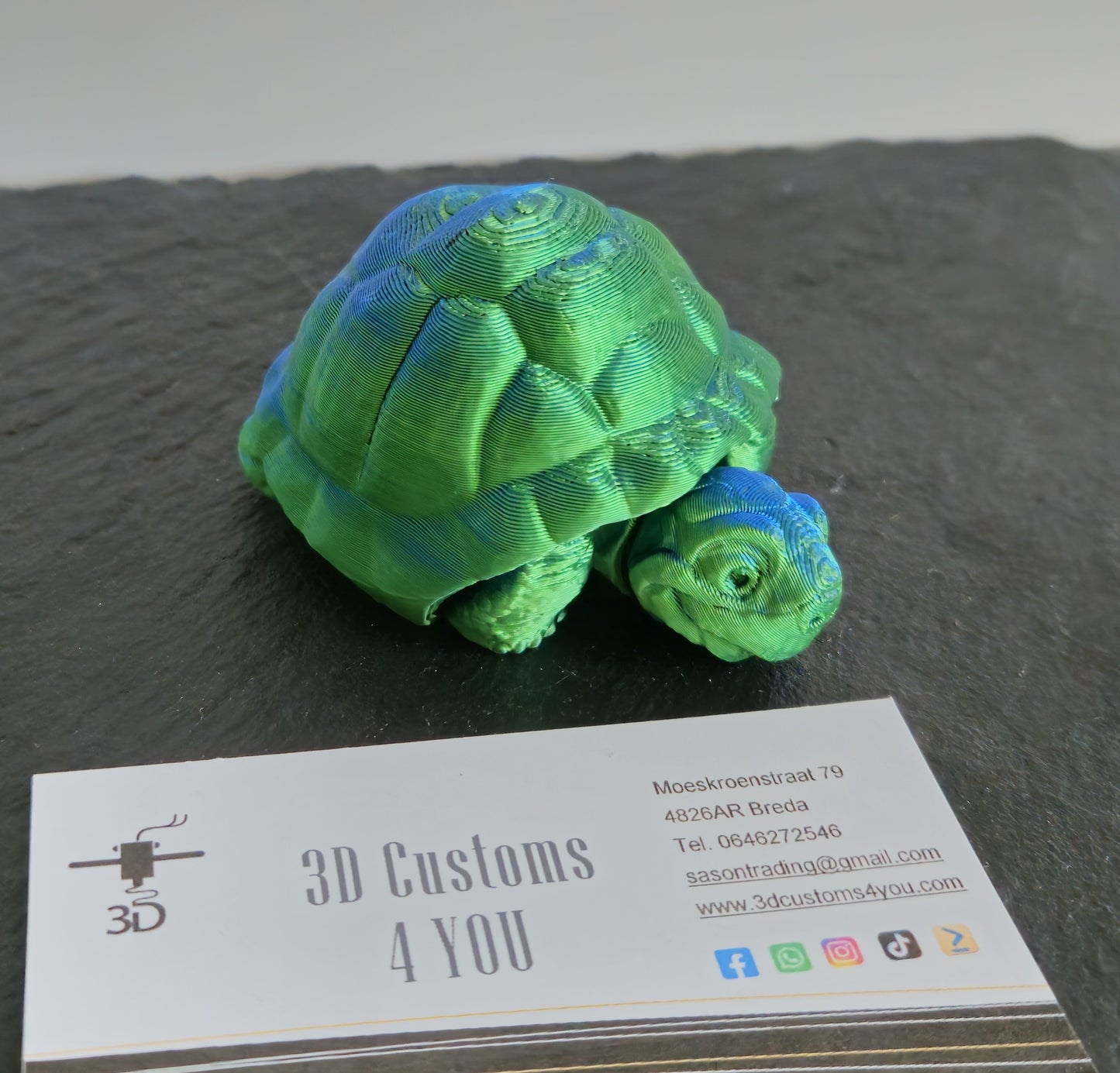 Schildpad