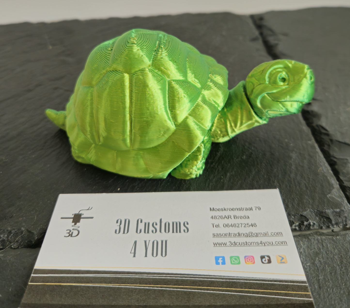 Schildpad groot