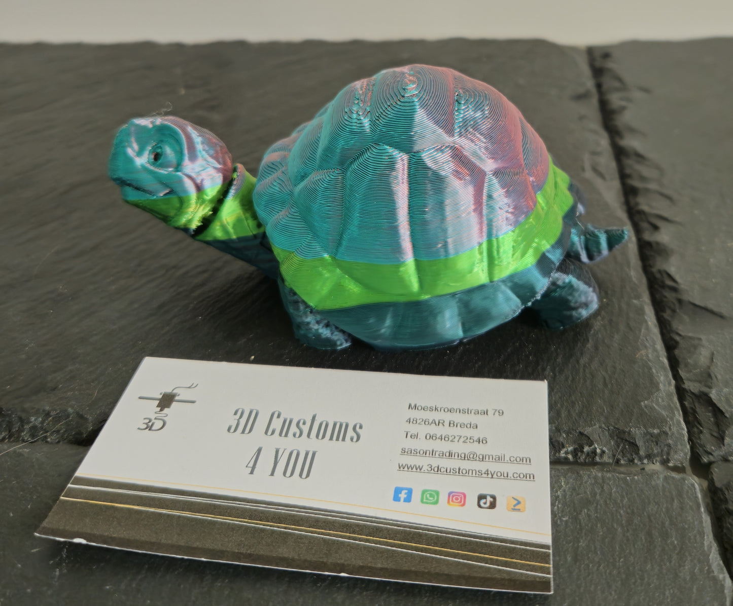 Schildpad