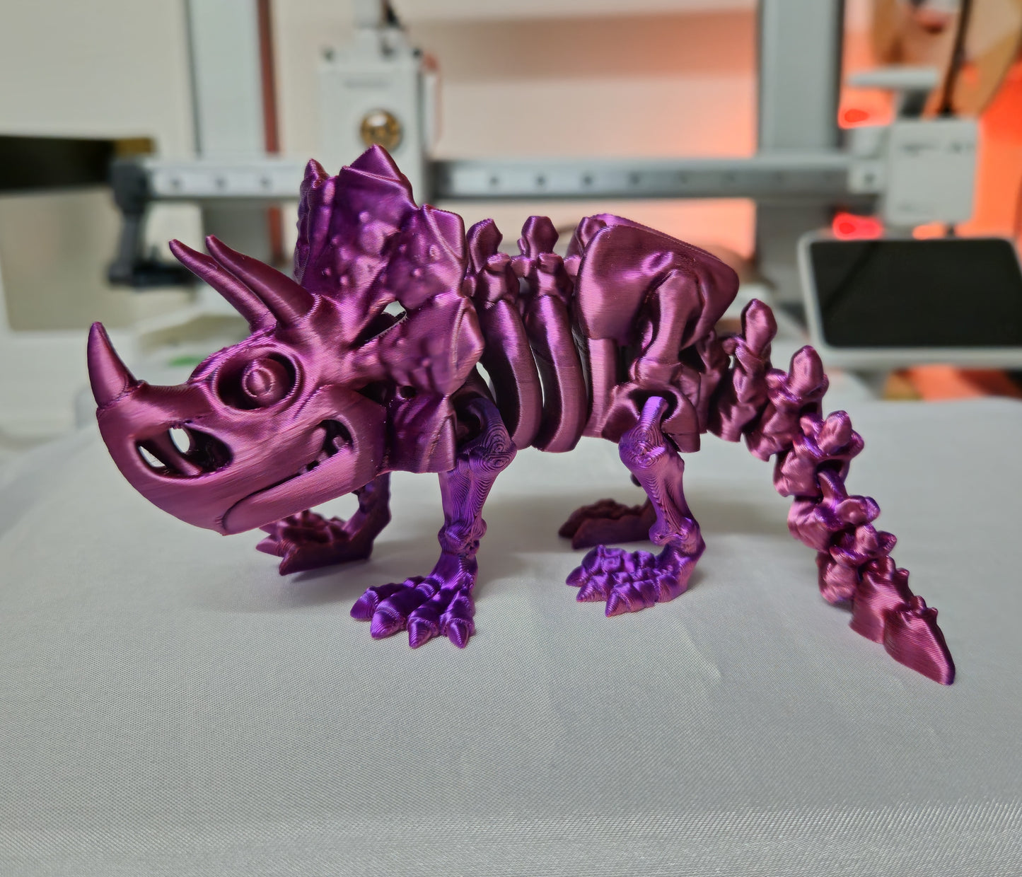 Triceratops