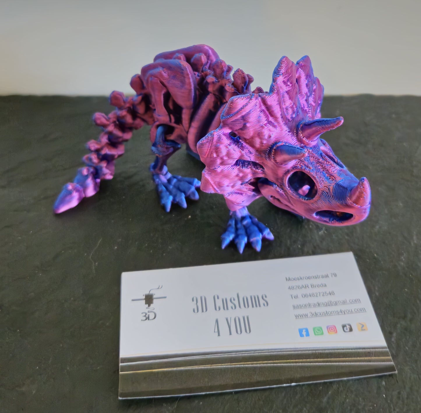 Triceratops