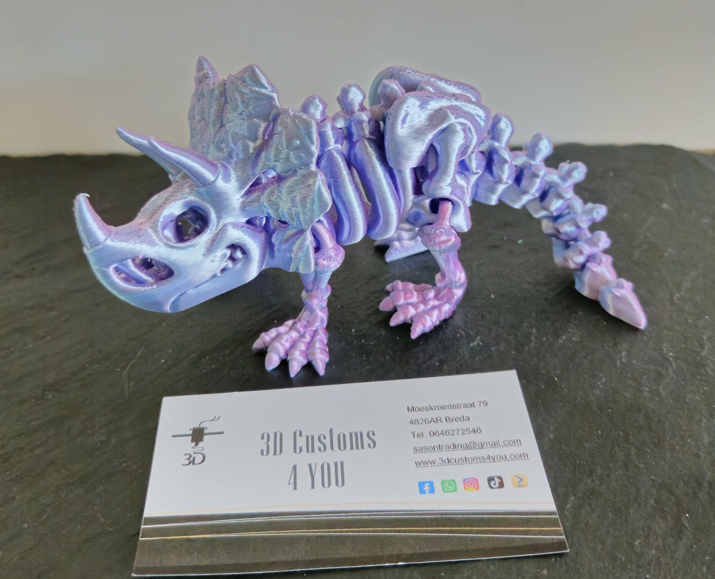 Triceratops