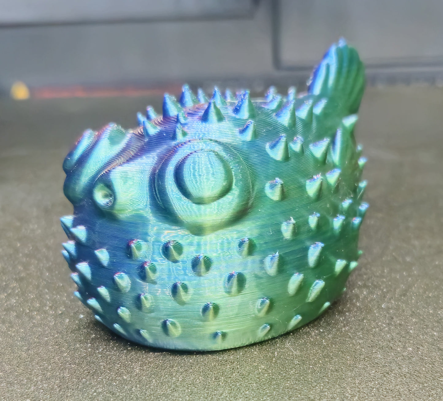 Puffer fish