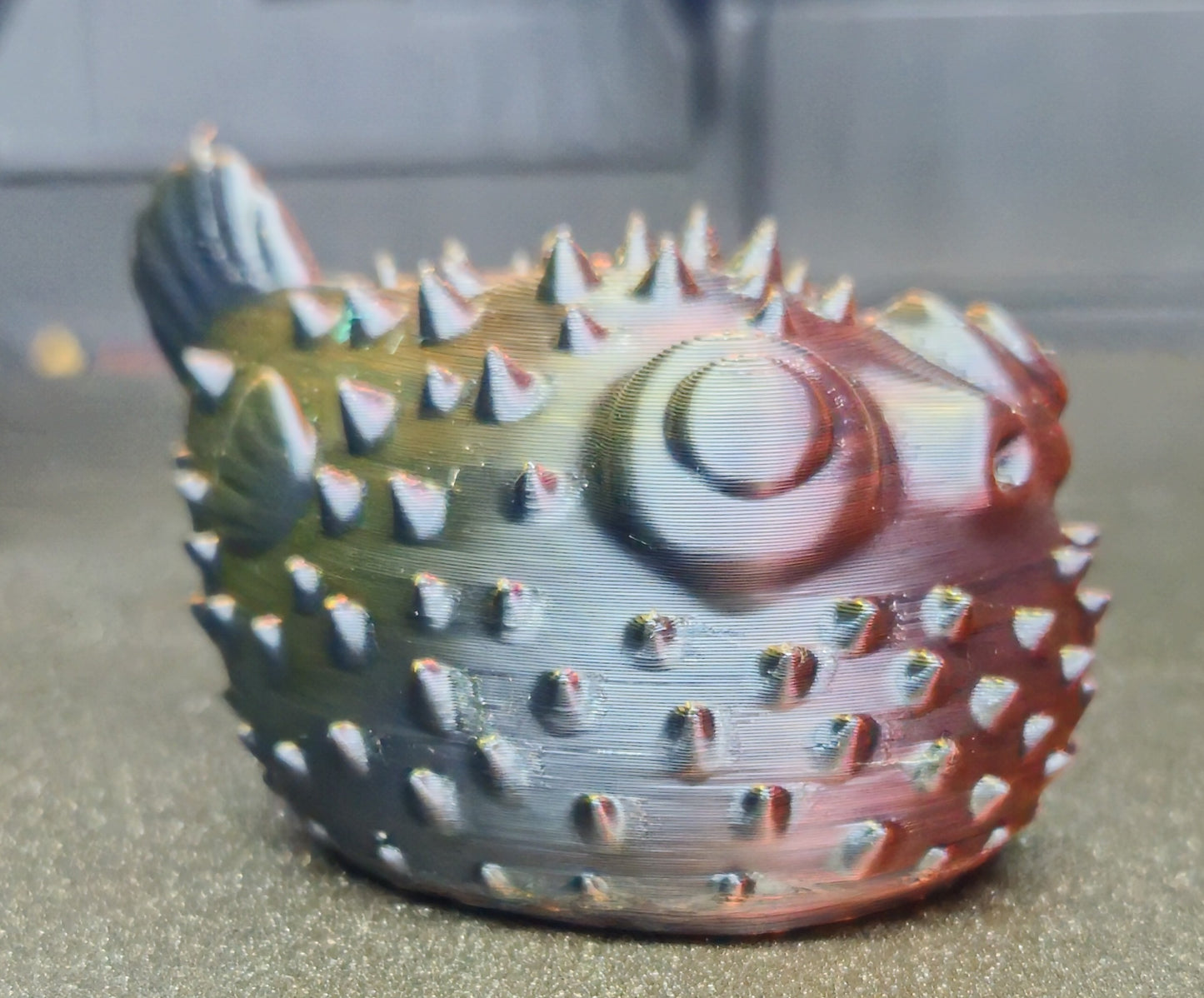 Puffer fish