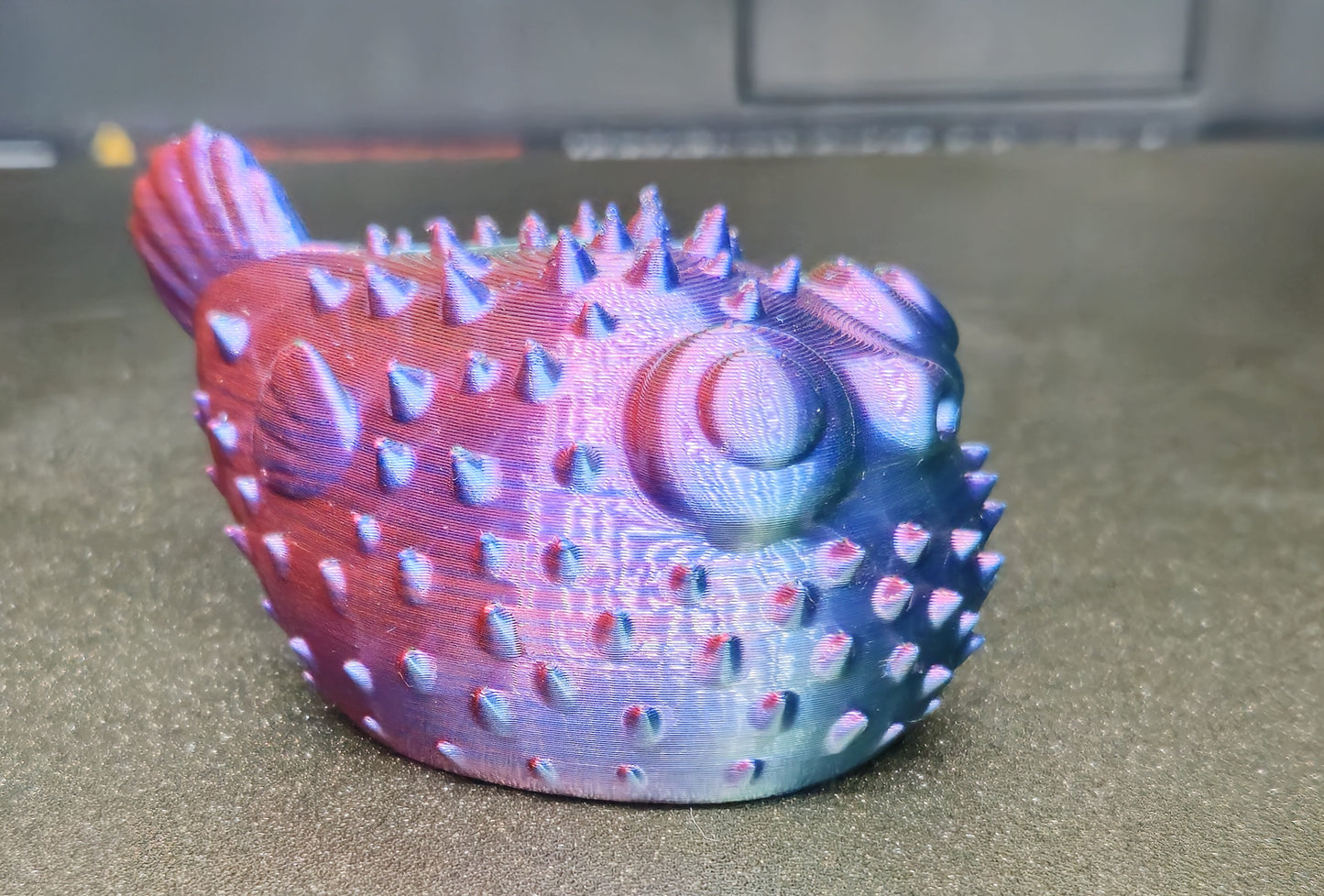 Puffer fish