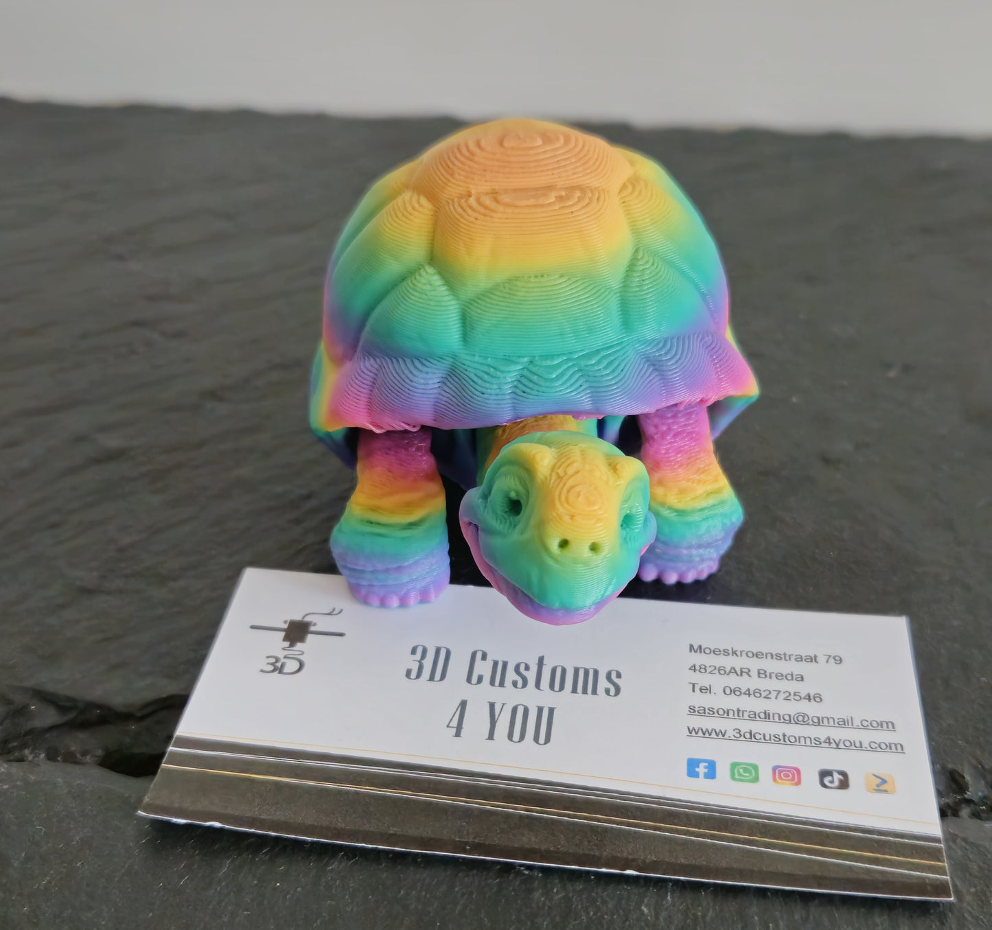 Schildpad groot