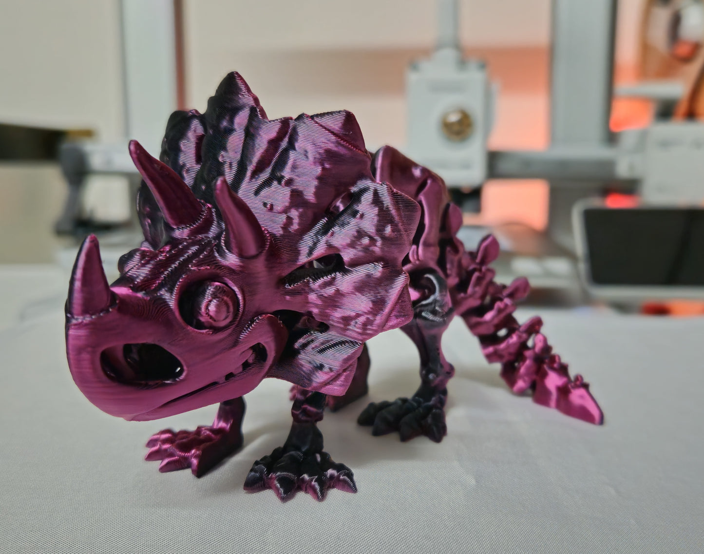 Triceratops