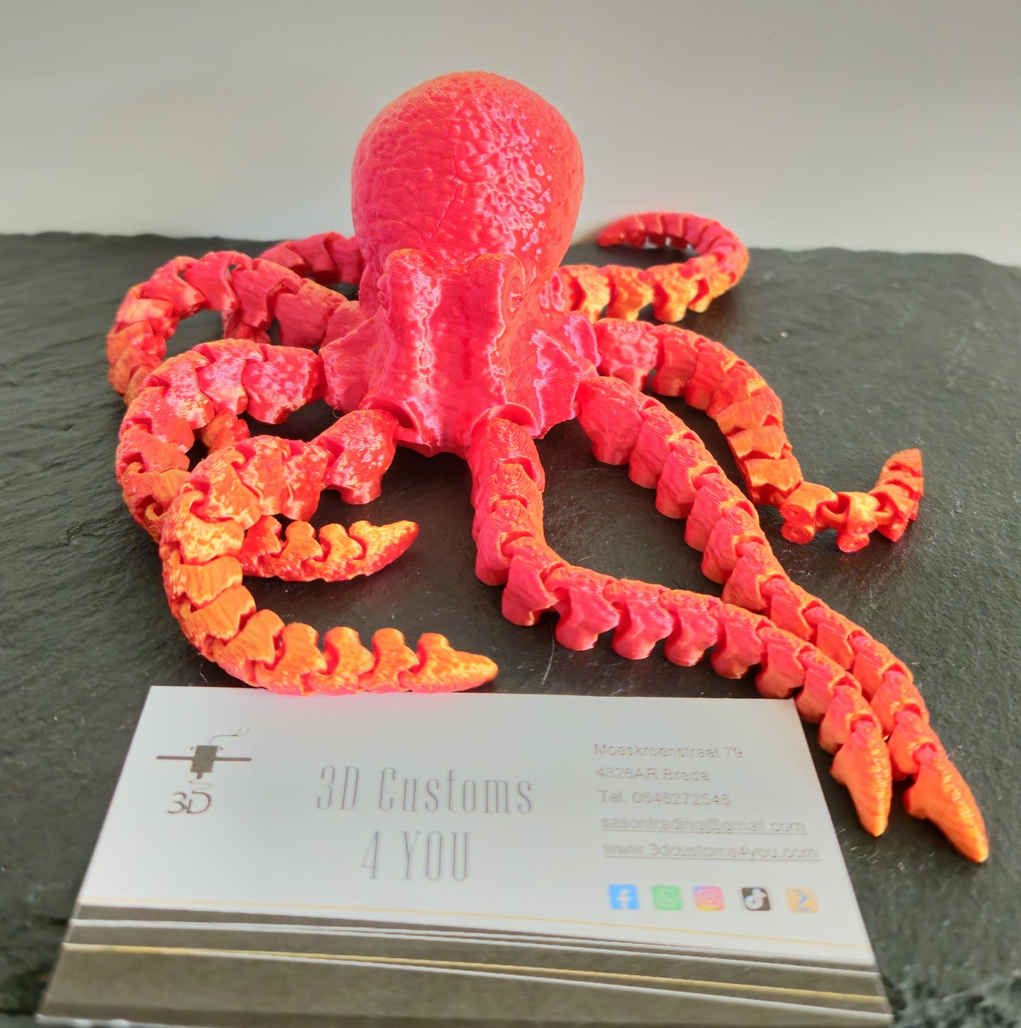 Octopus groot