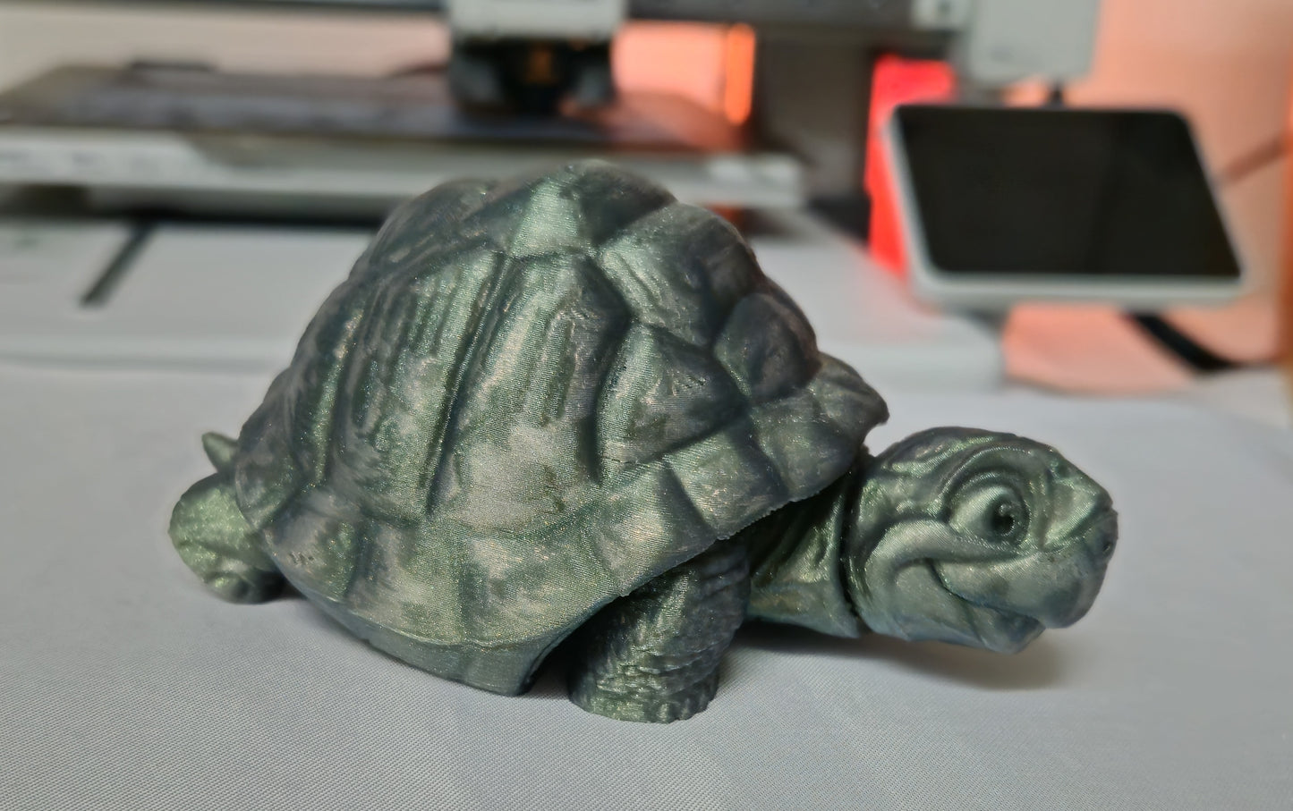 Schildpad groot