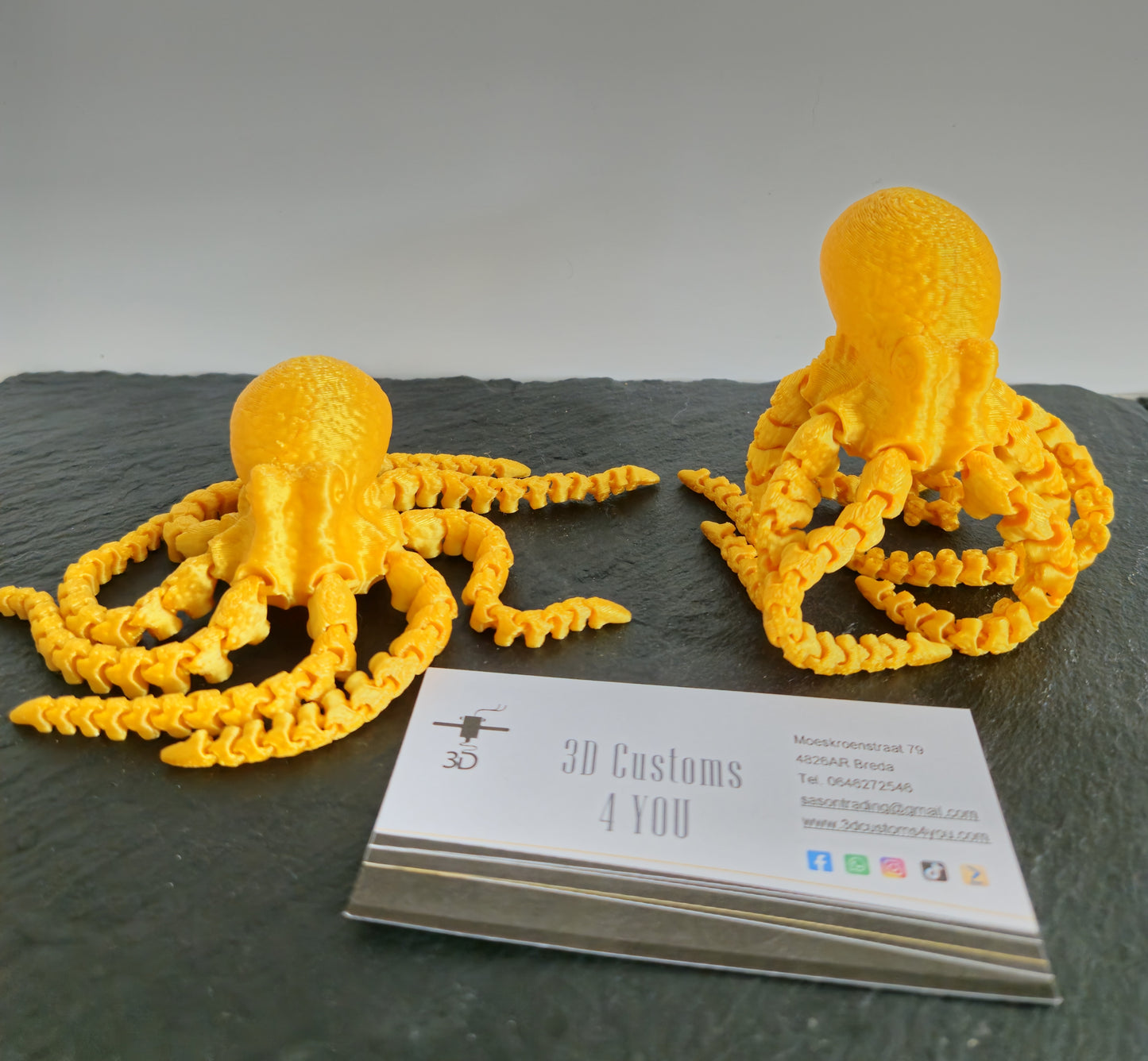 Octopus groot