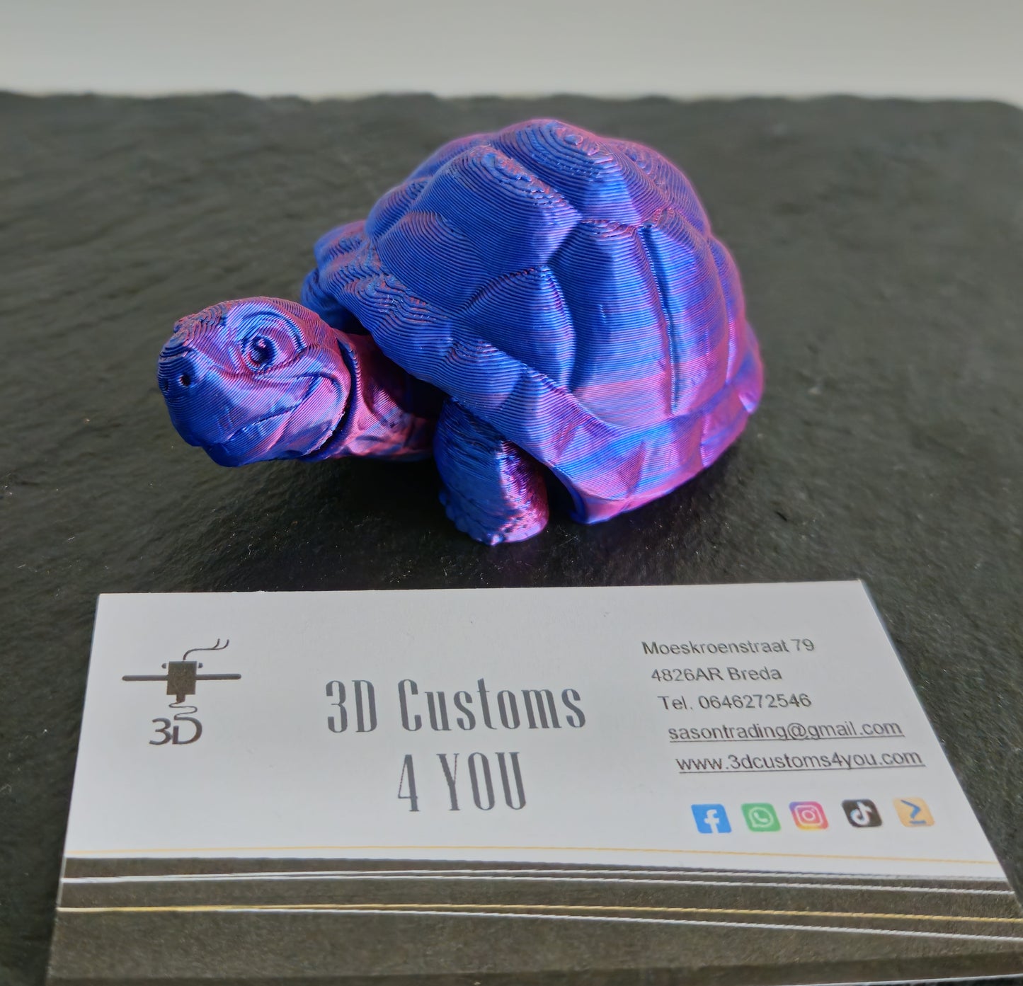 Schildpad groot